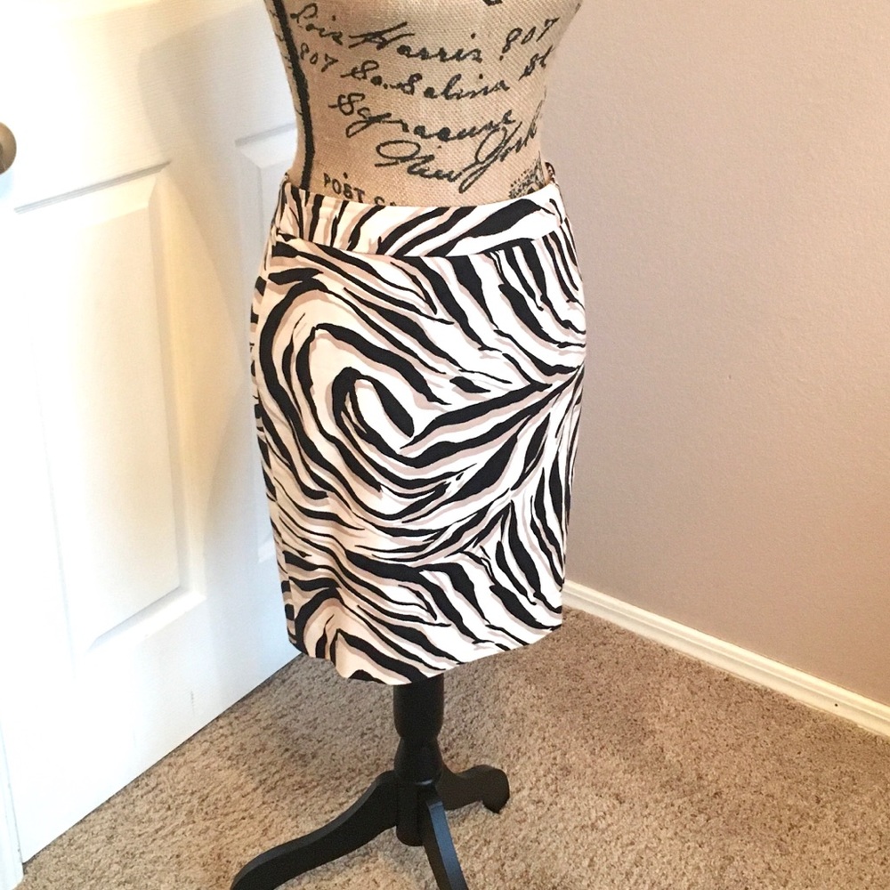 Ann Taylor LOFT Skirt ~ Size 2P